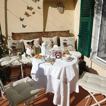 Peverello