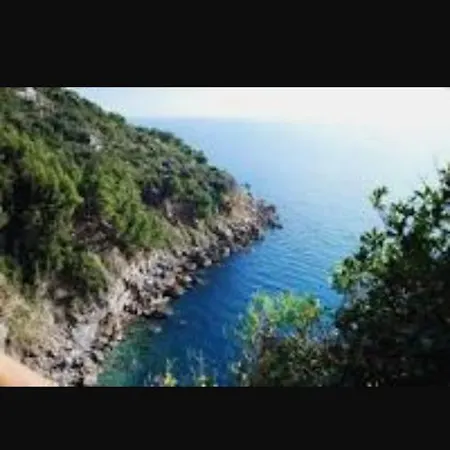 Peverello *
