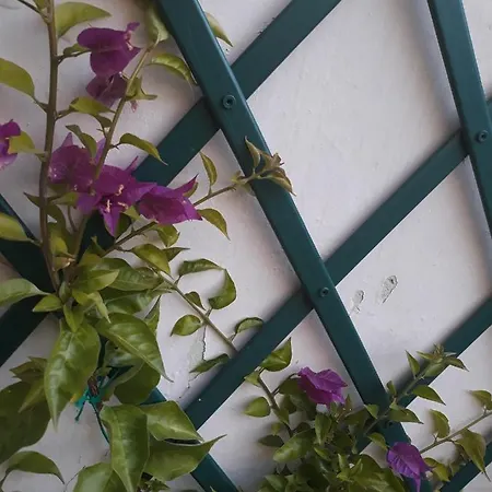 Bed & Breakfast Peverello Castelnuovo Magra